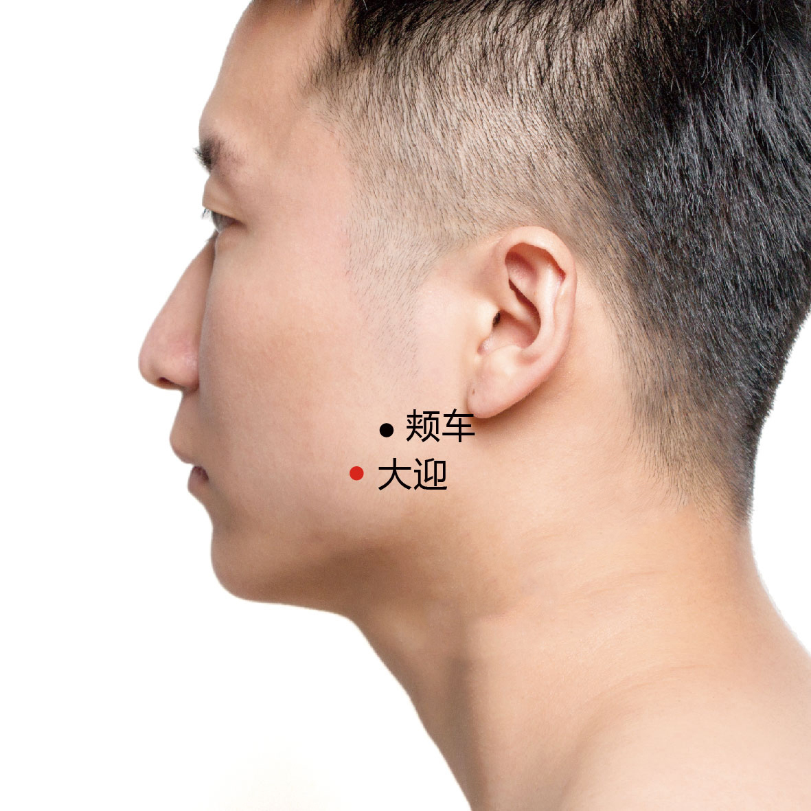 大迎