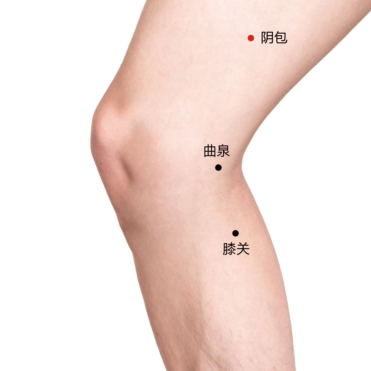 阴包