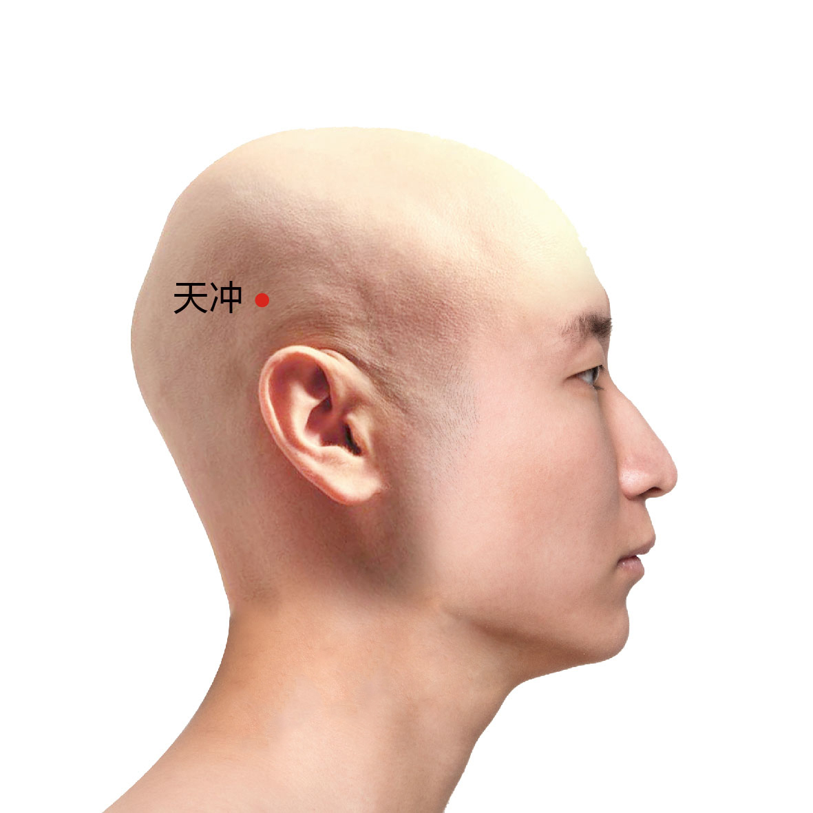 浮白
