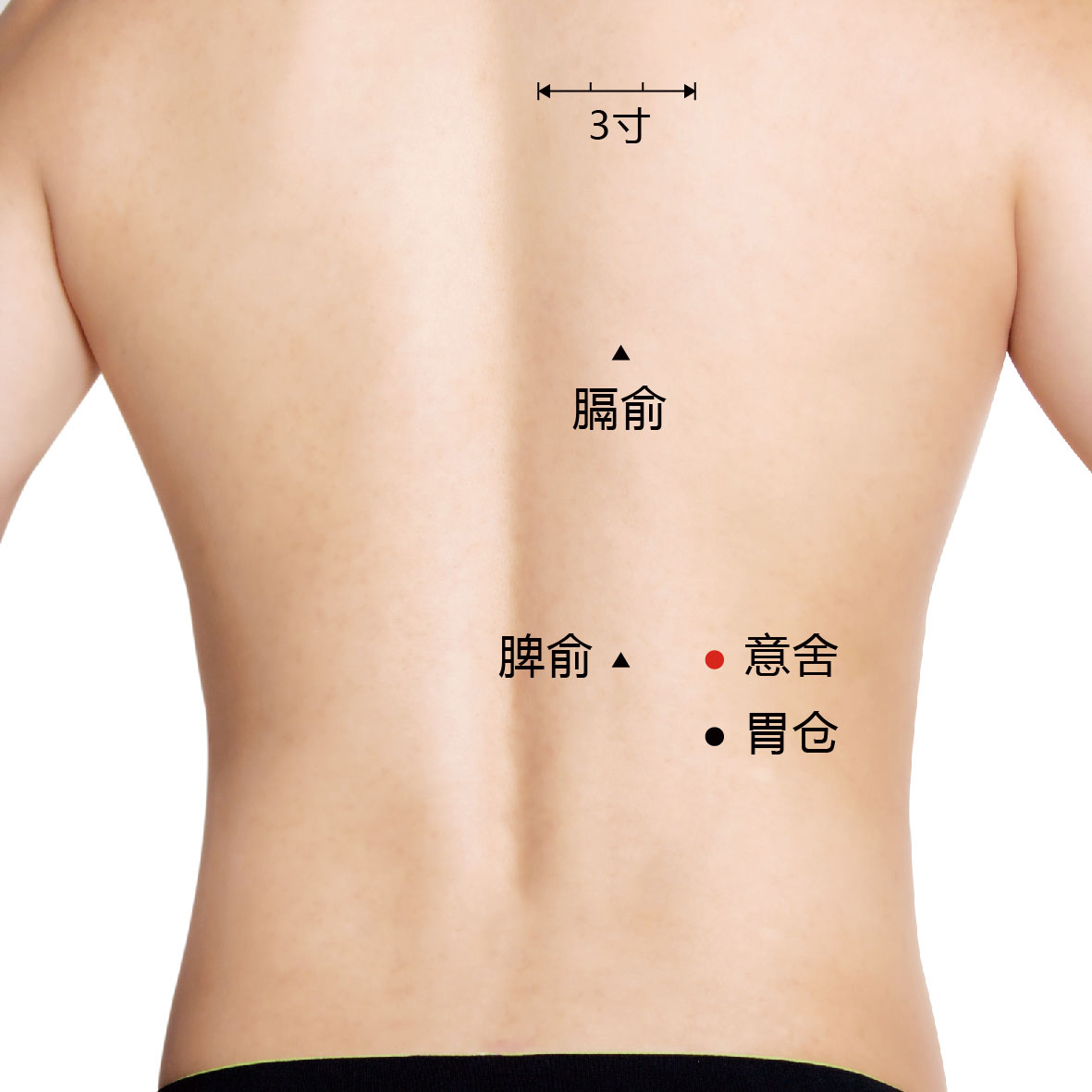 意舍