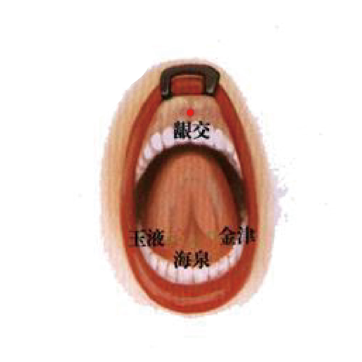 海泉