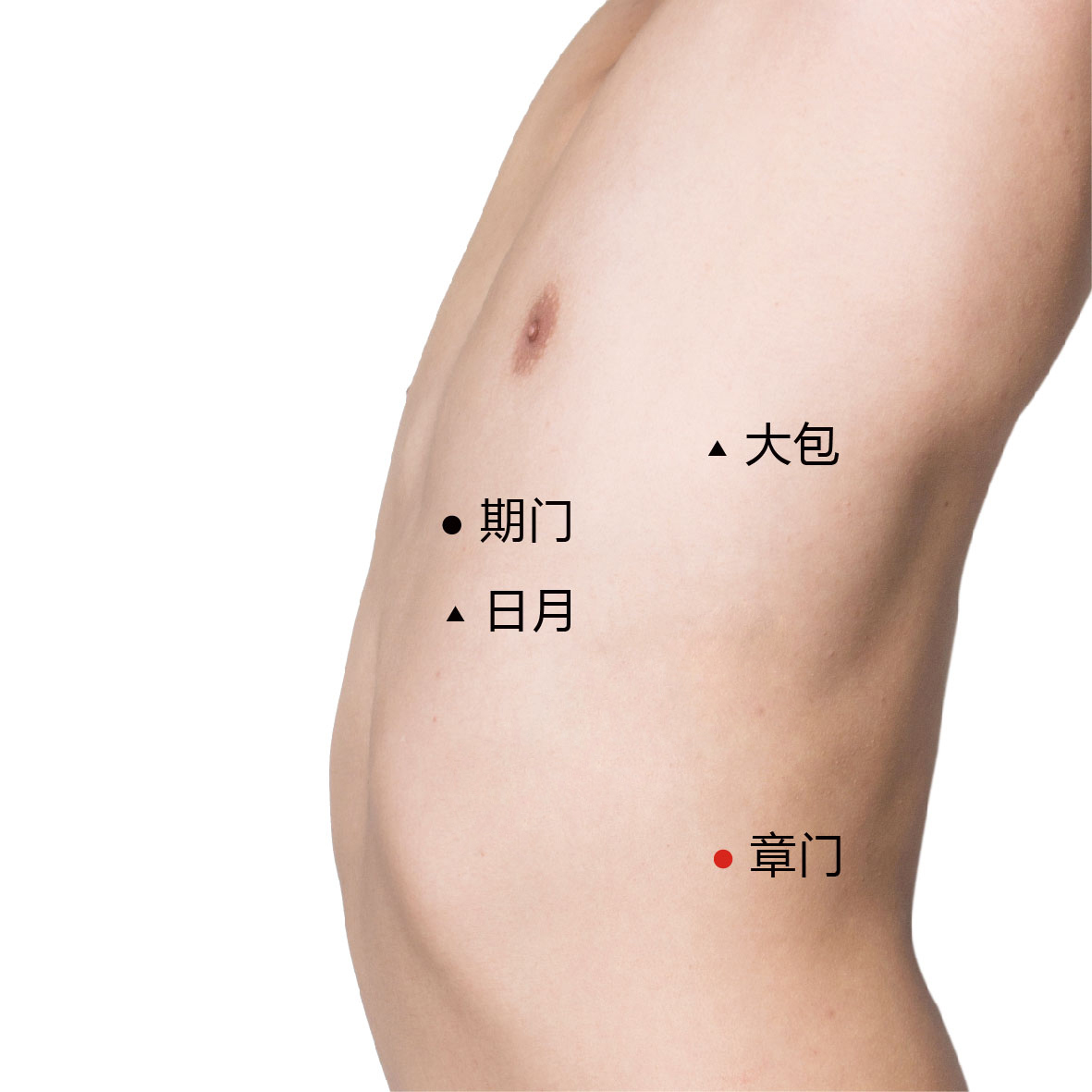 期门