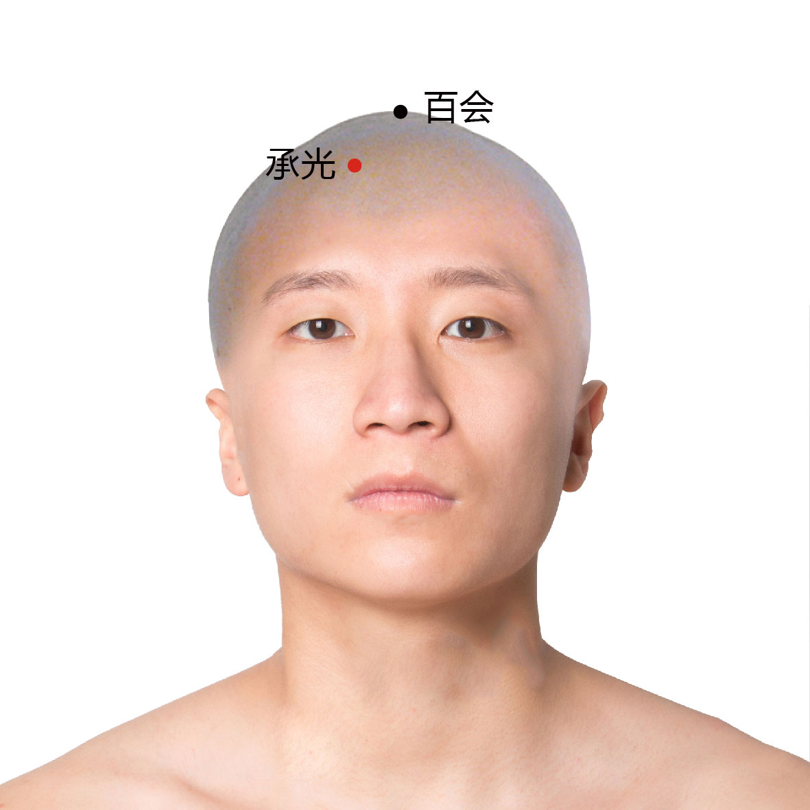 络却