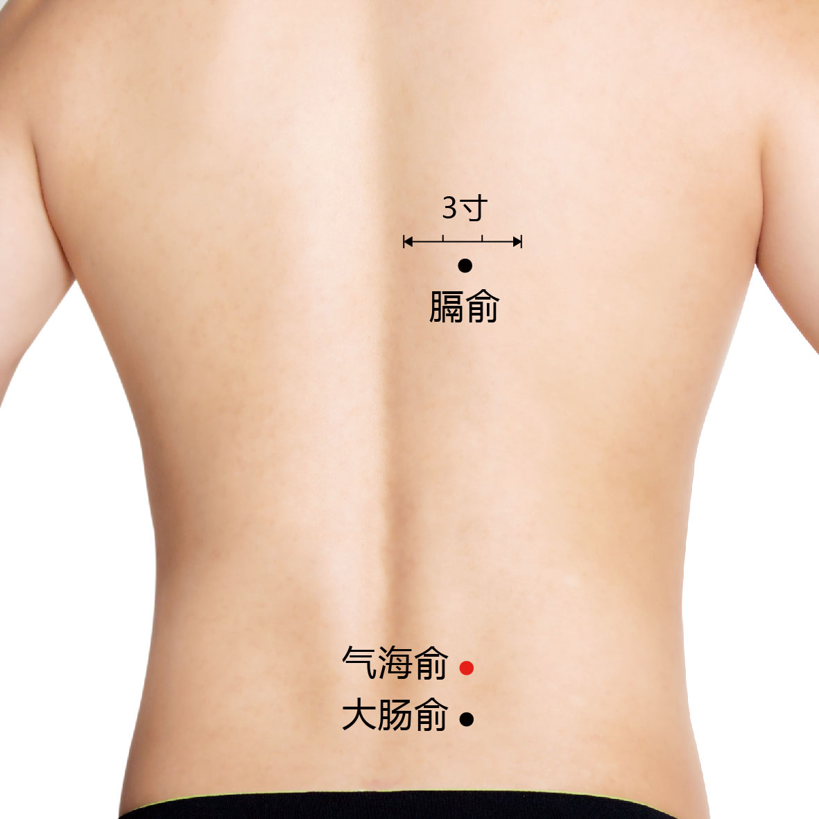 大肠俞
