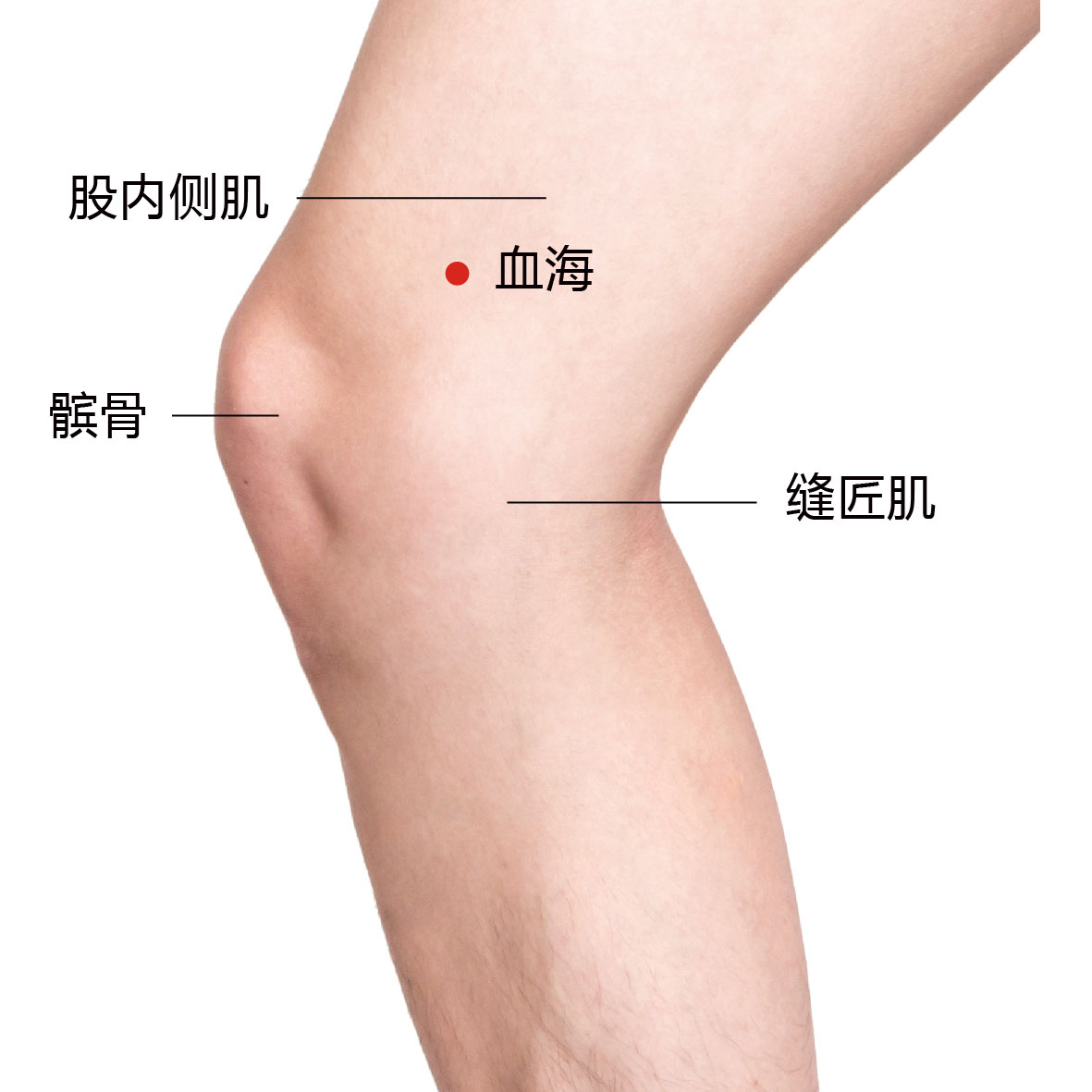 血海