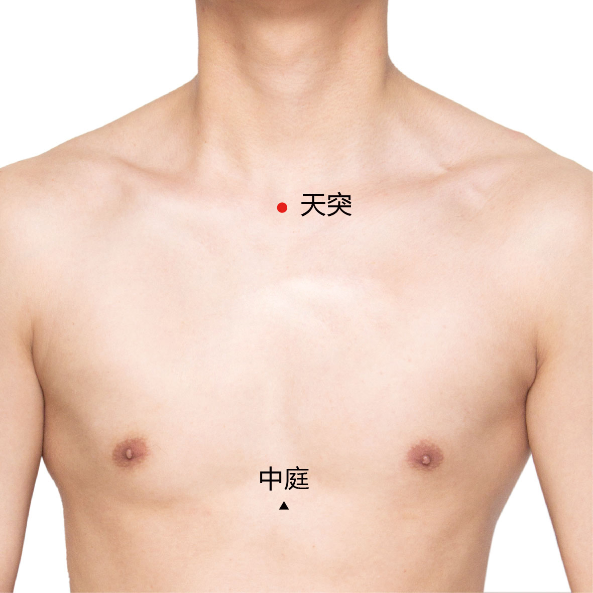 玉堂