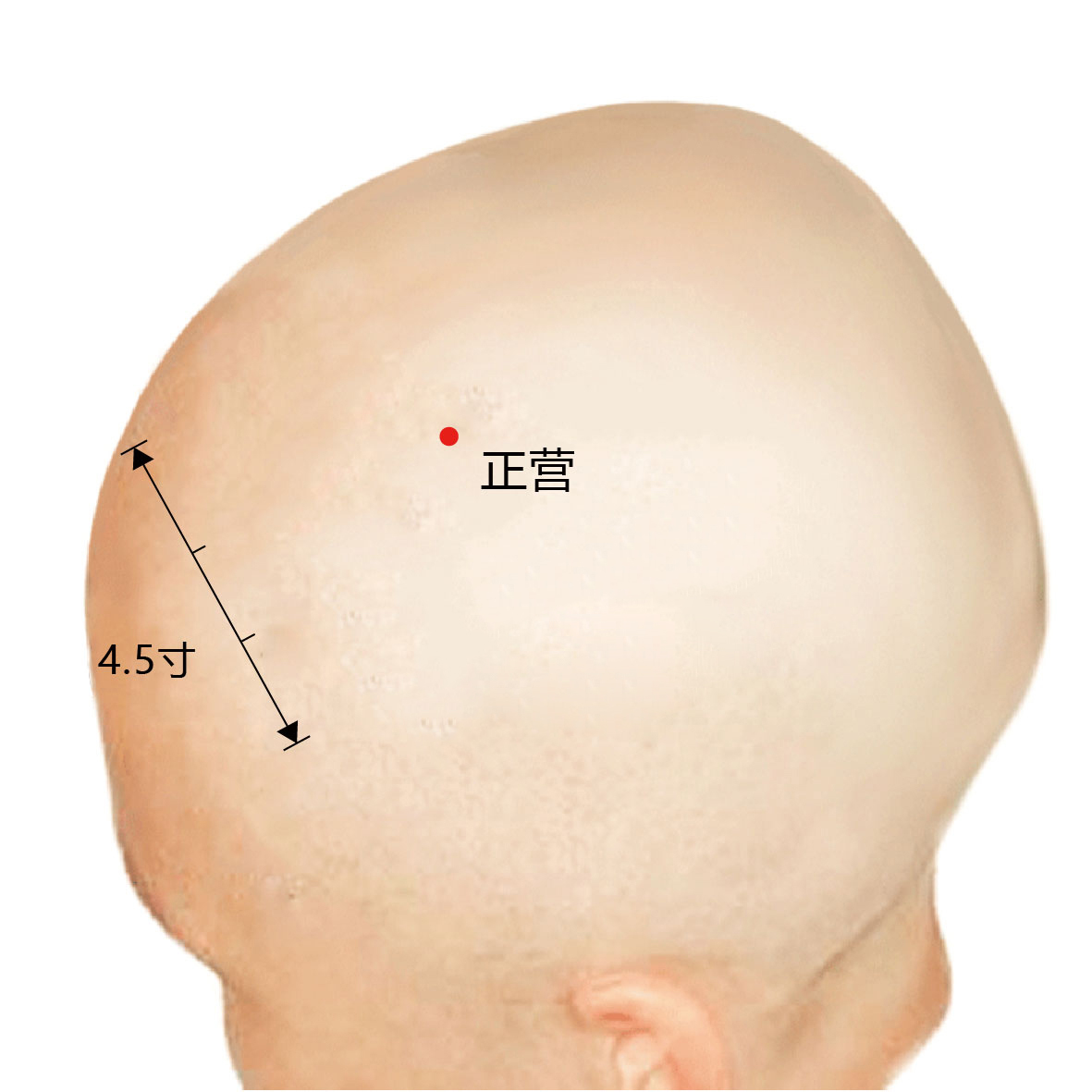 承灵