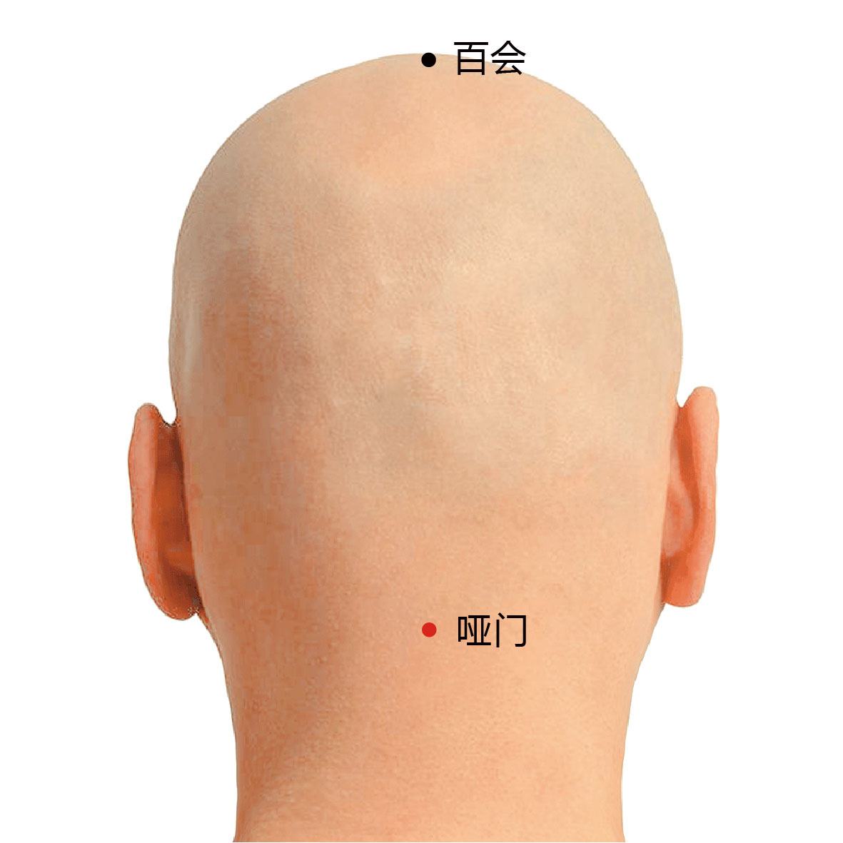 风府