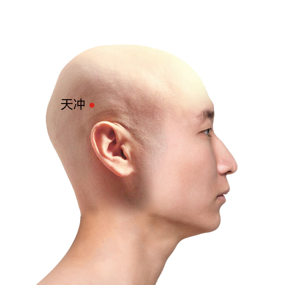 天冲