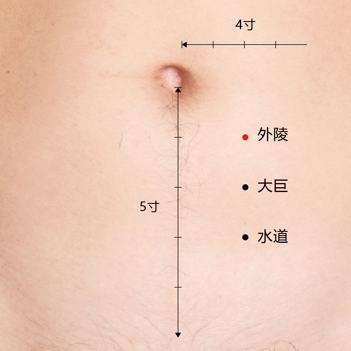 外陵