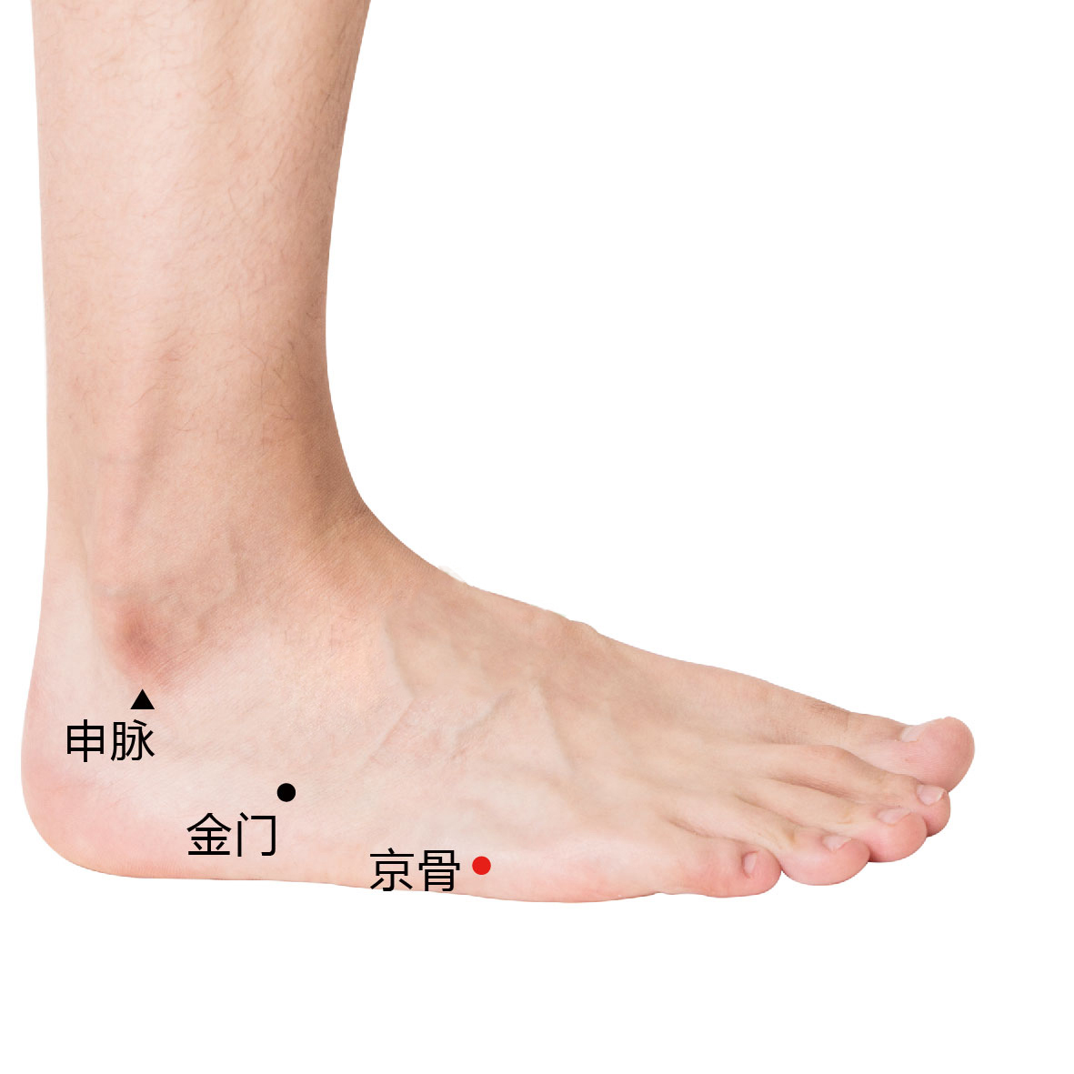 金门