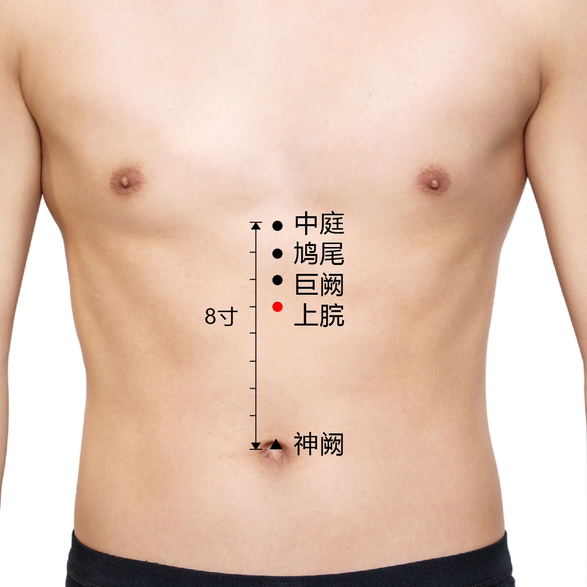 鸠尾