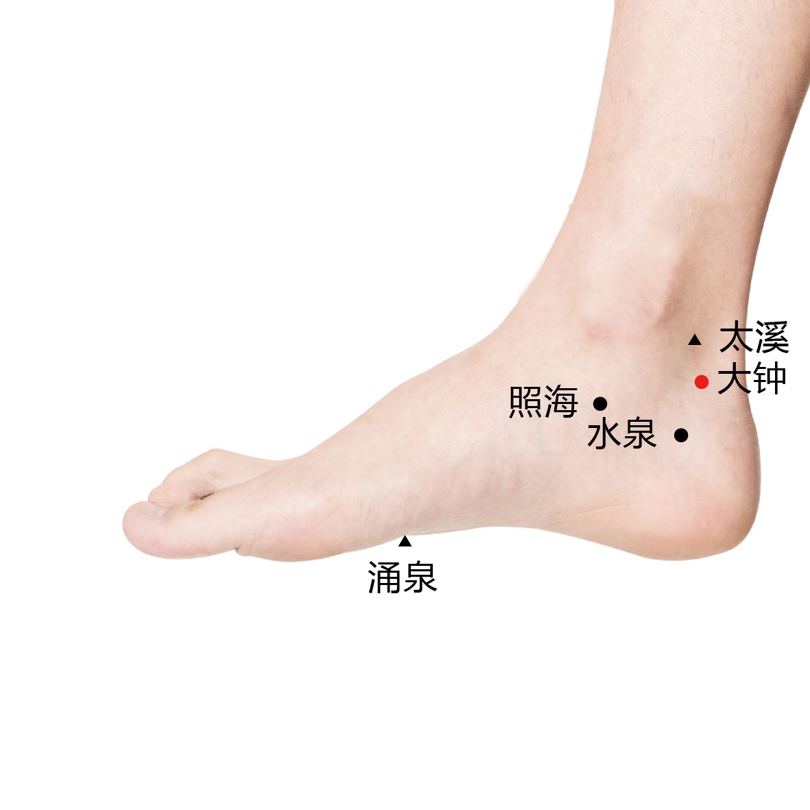 水泉