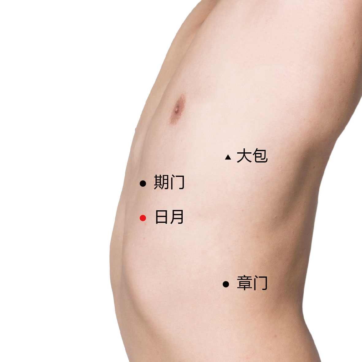 日月