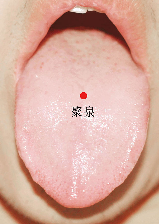聚泉
