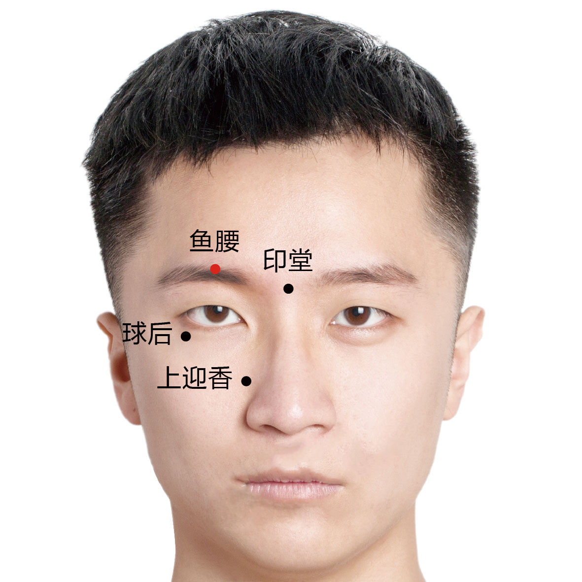 球后