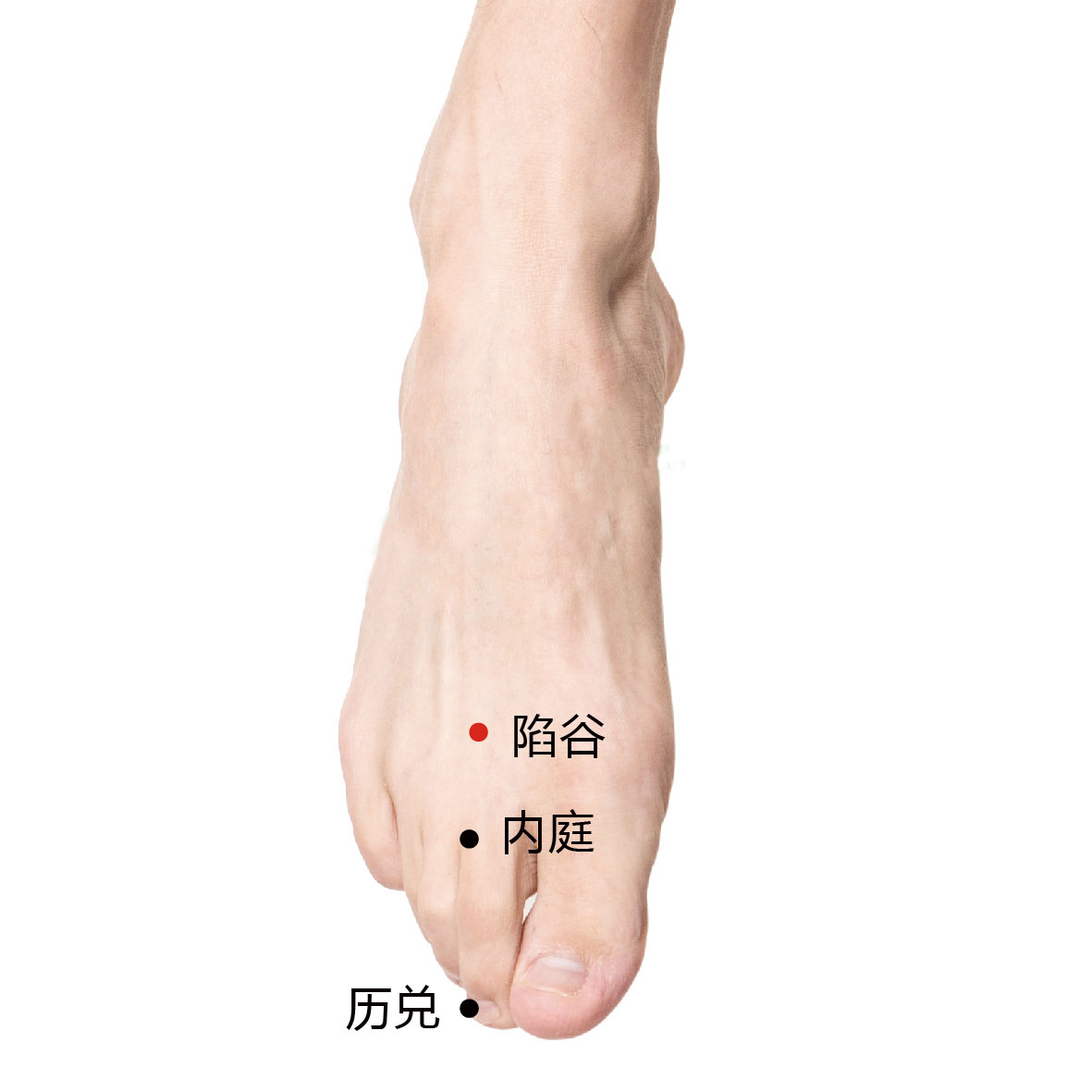 内庭