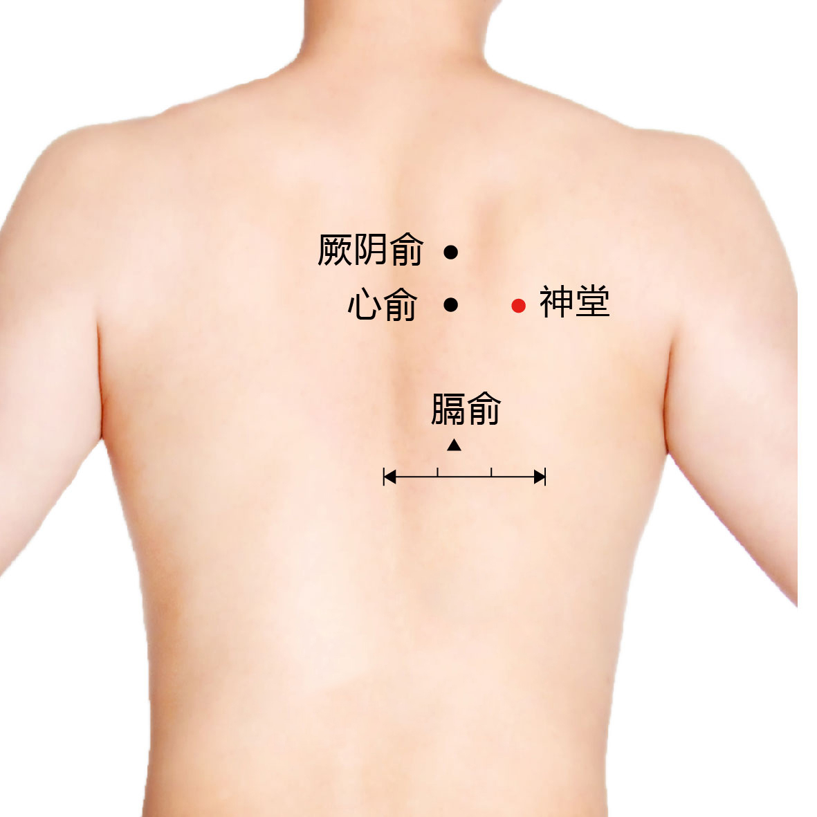 譩譆