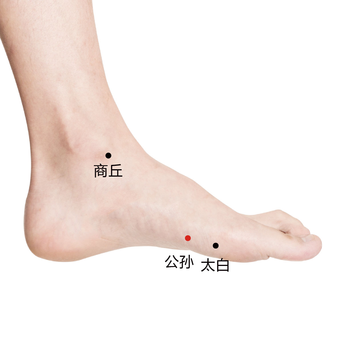 公孙