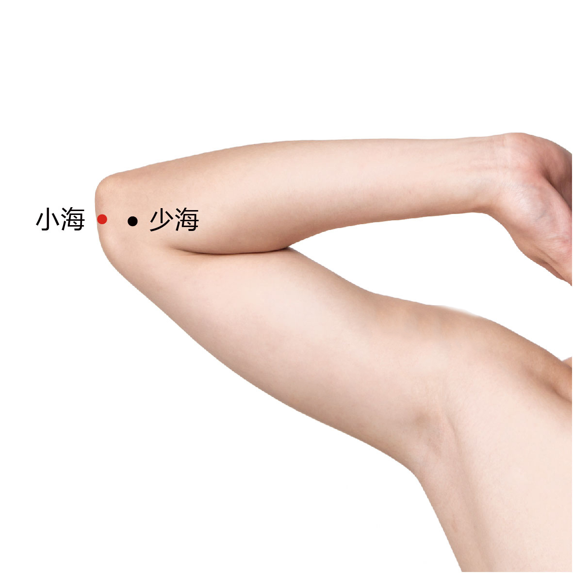 小海