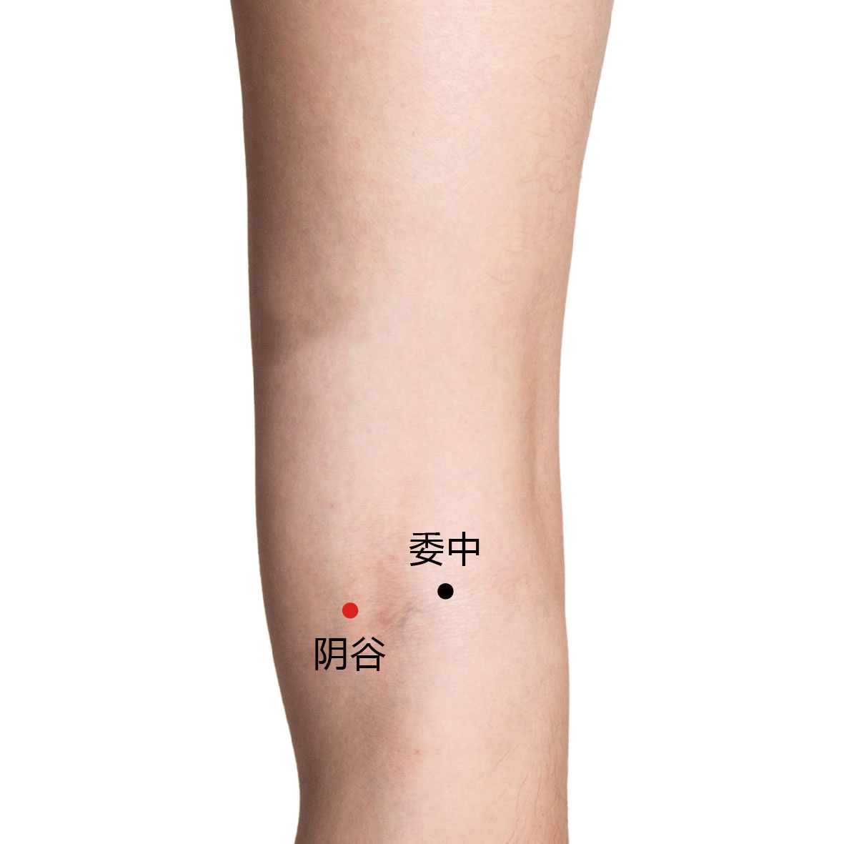 阴谷