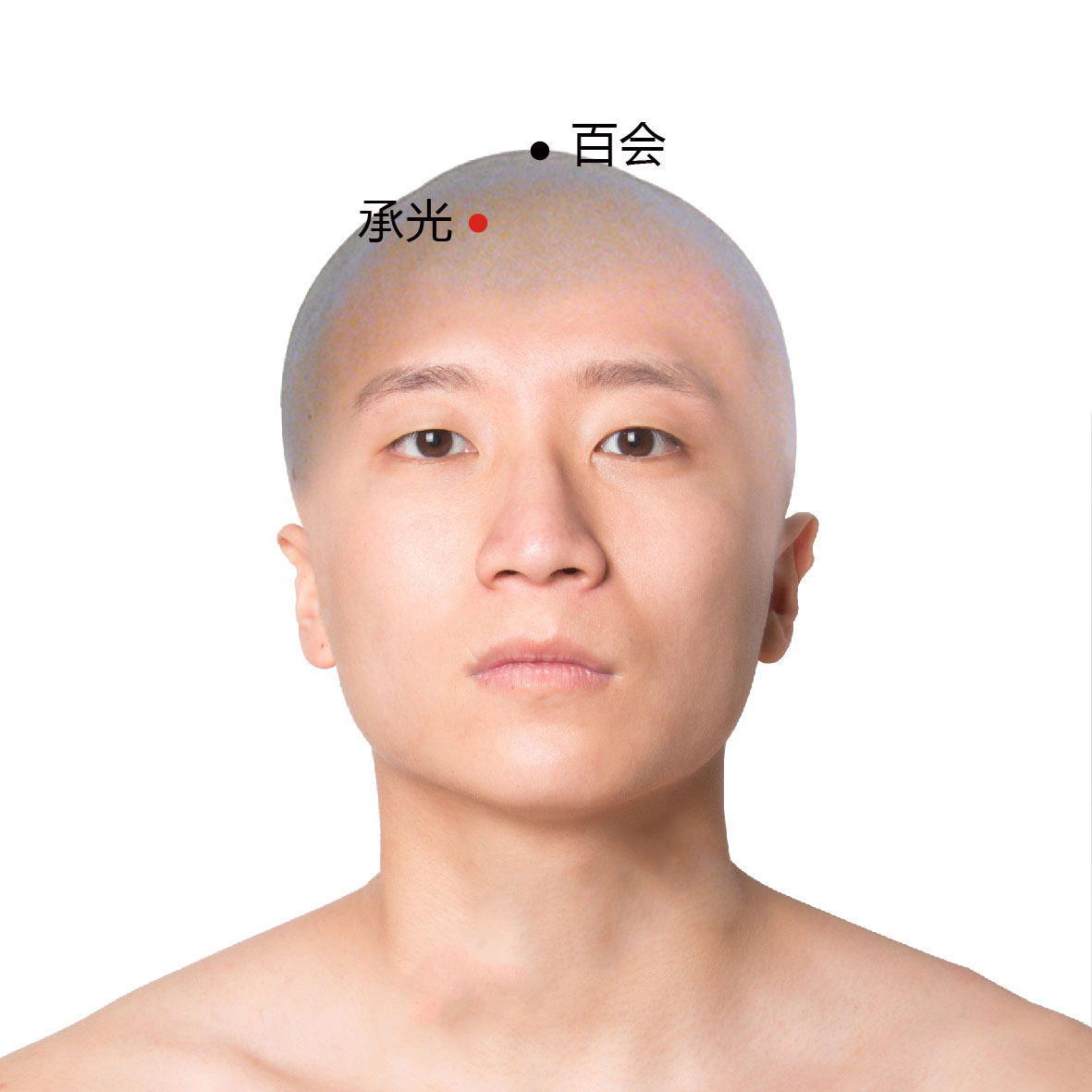 承光