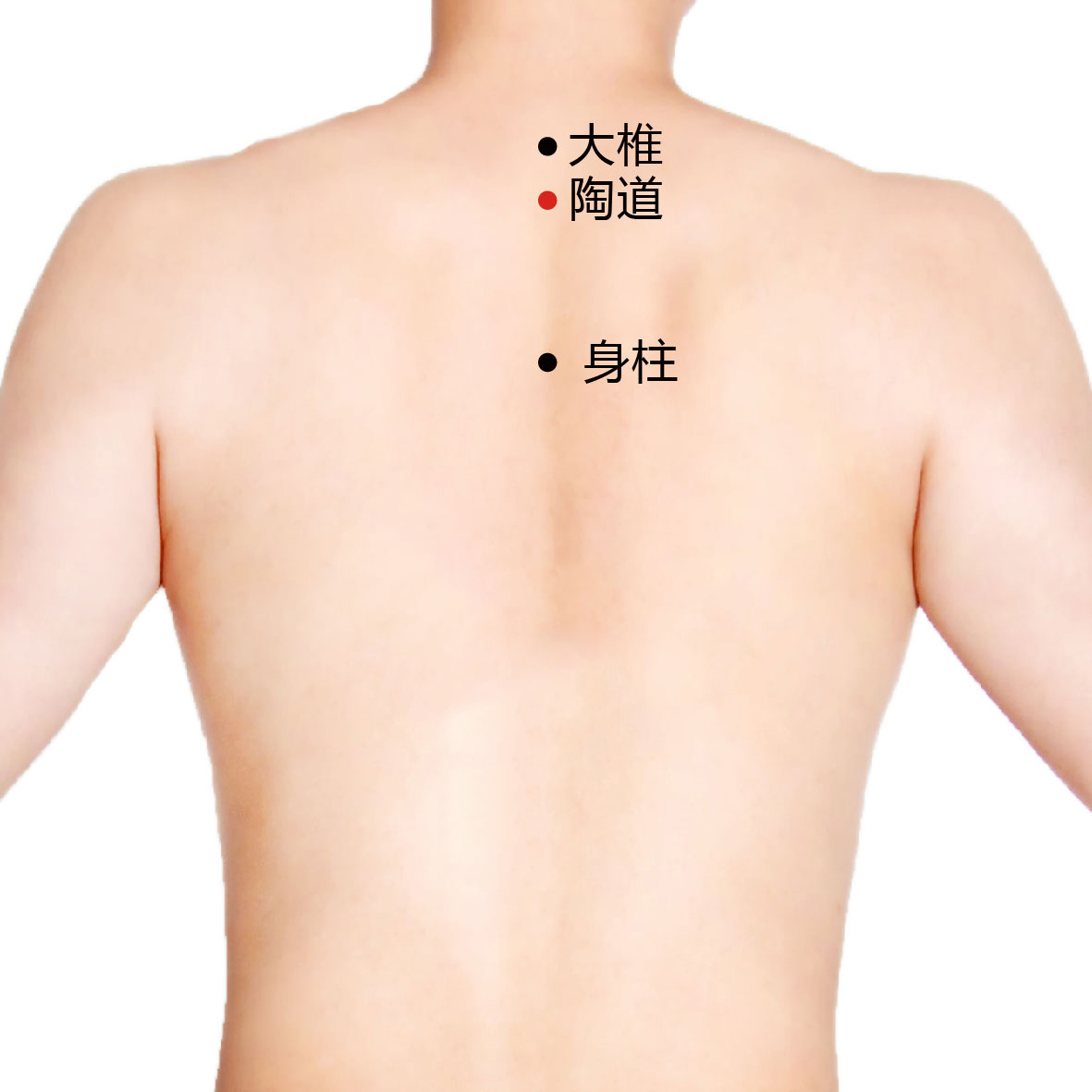 大椎