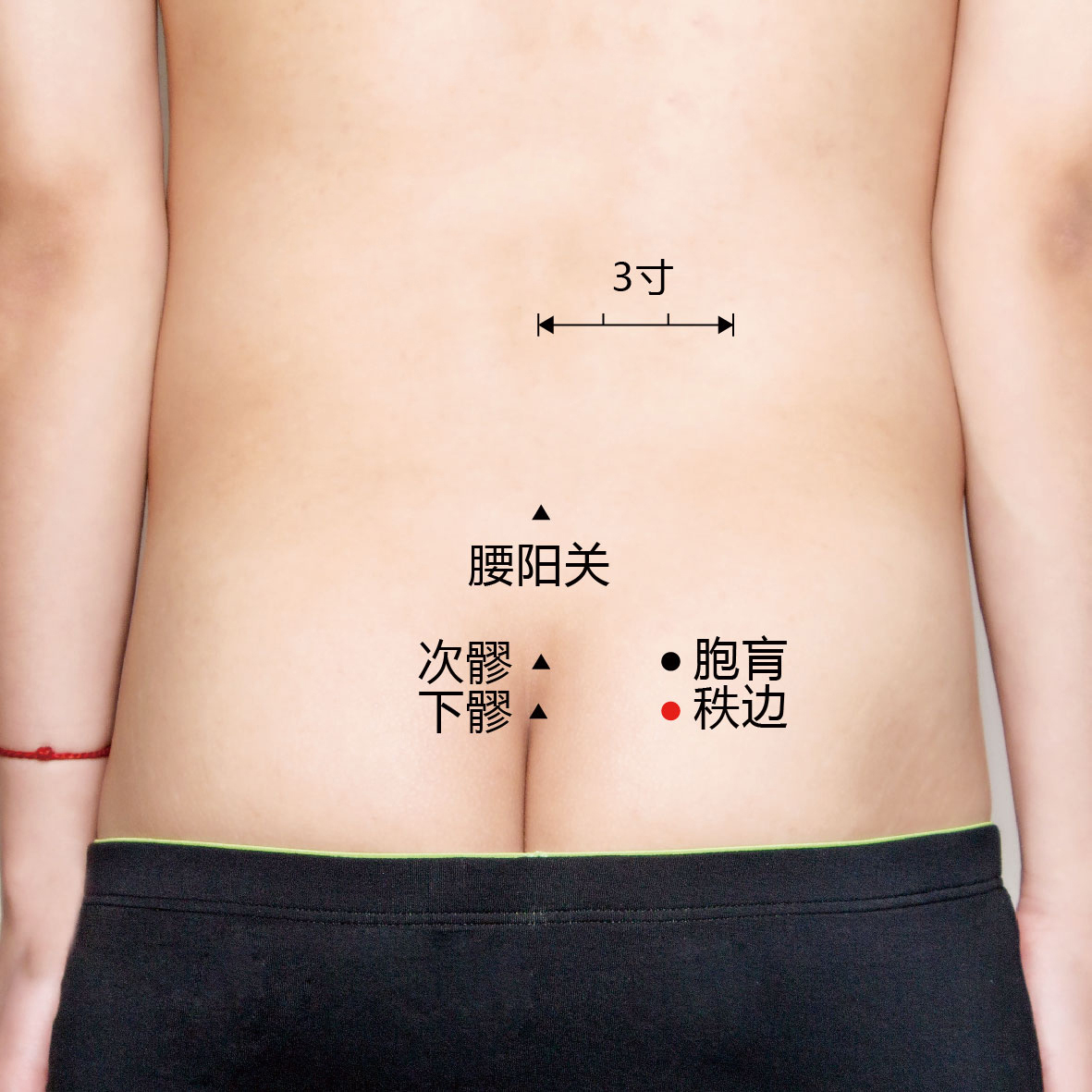 胞肓