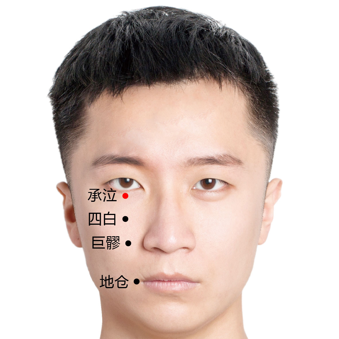 四白