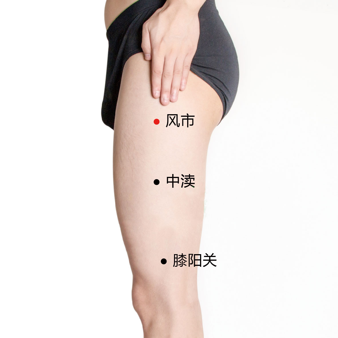 膝阳关