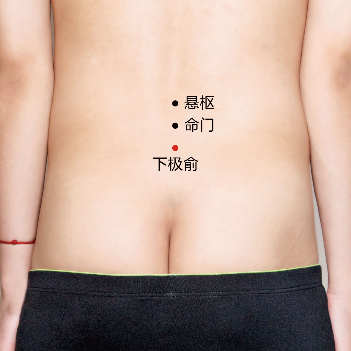 悬枢
