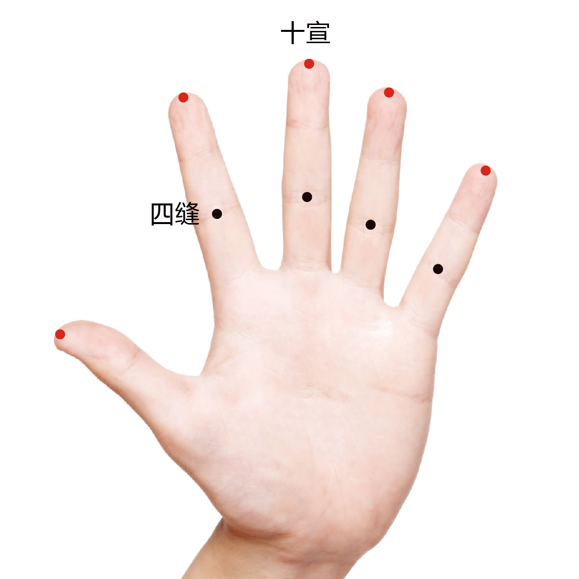 四缝