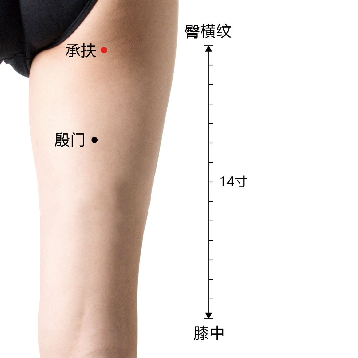 承扶