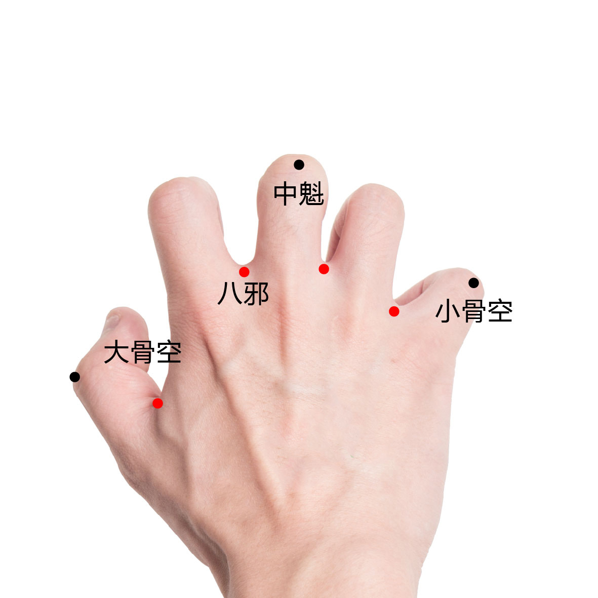 中魁