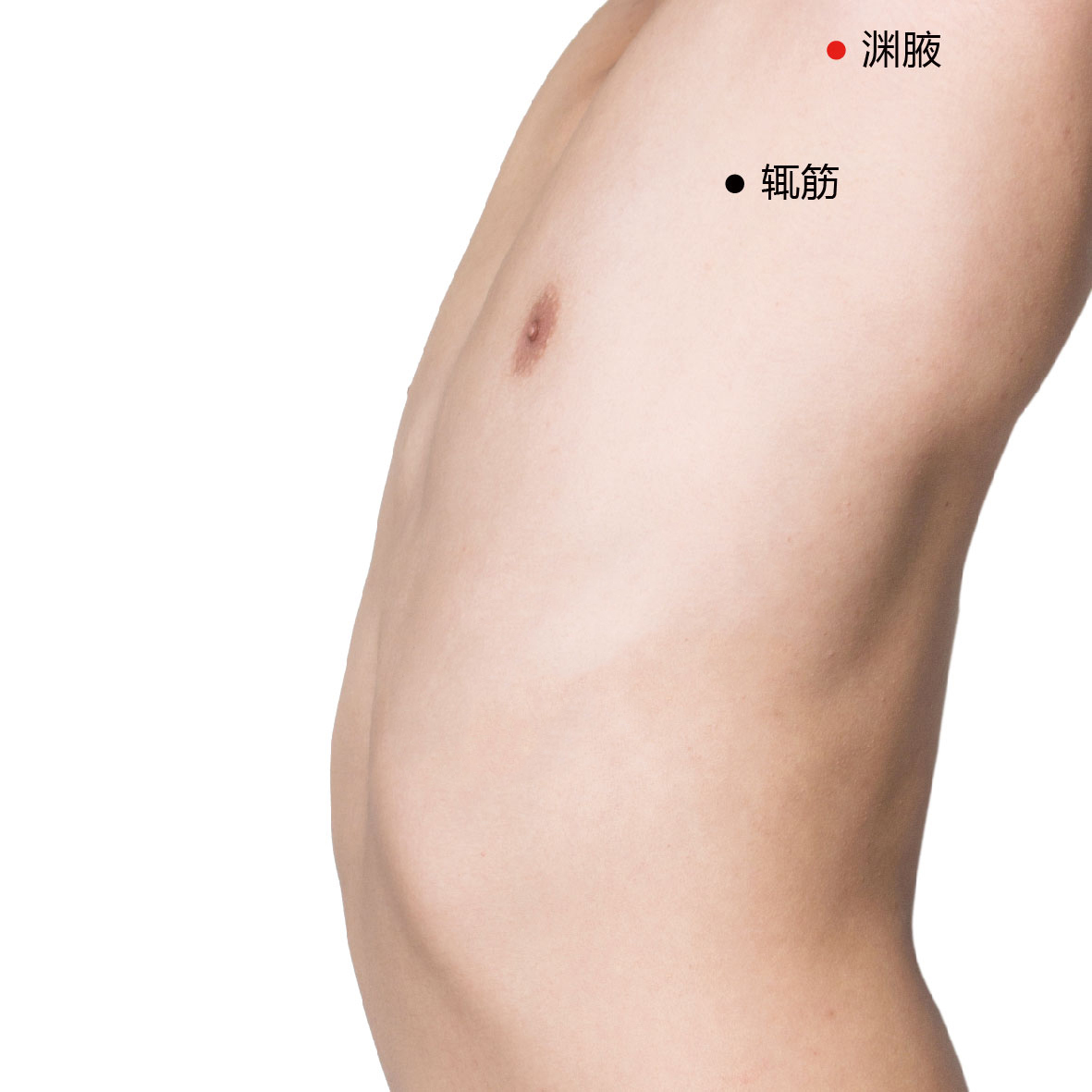 辄筋