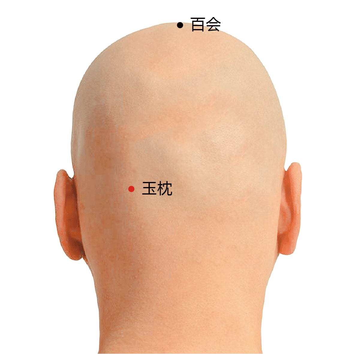 玉枕