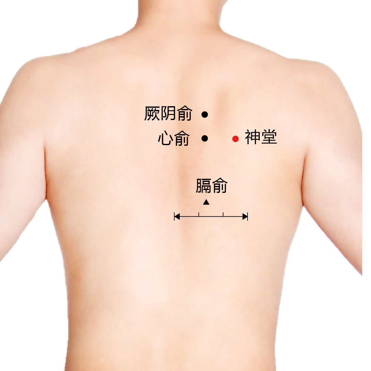 膈关
