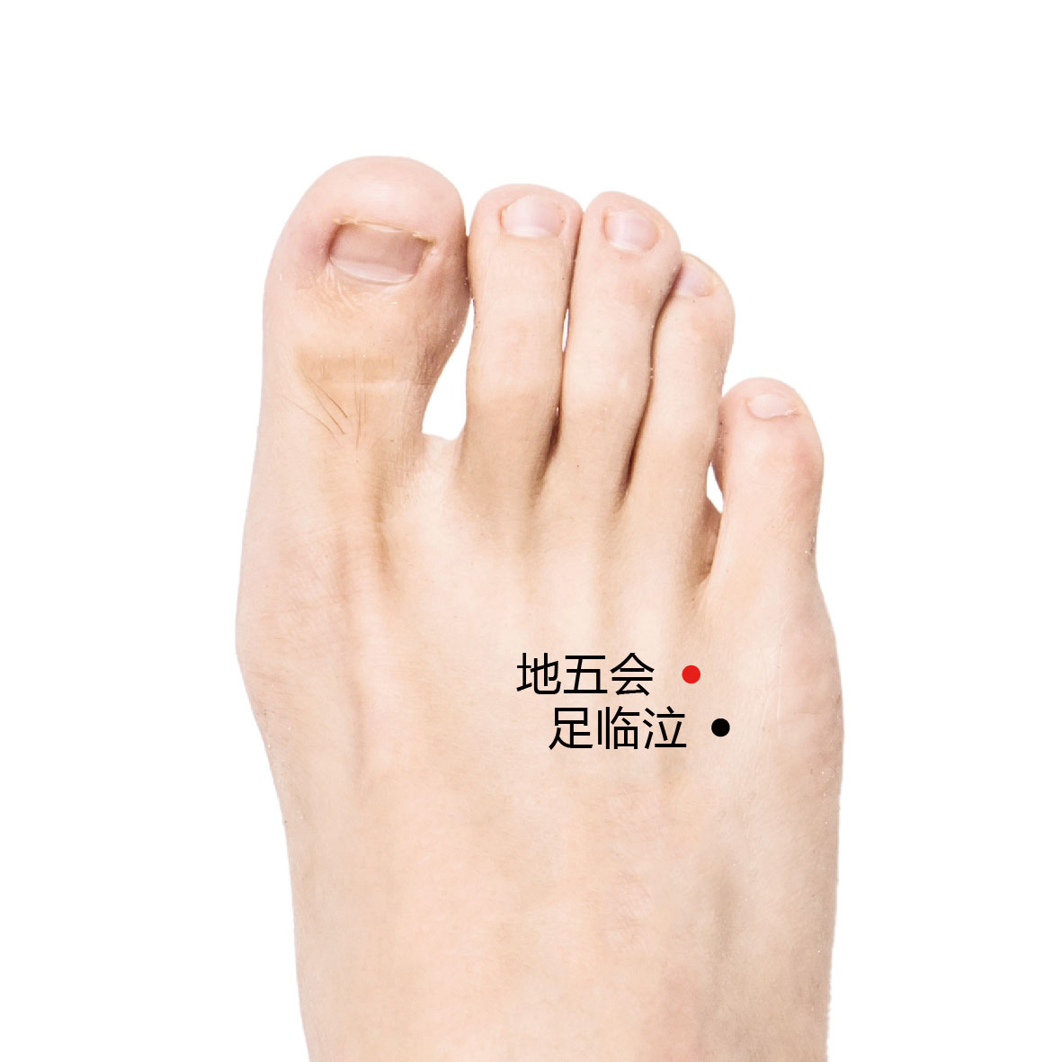 足临泣