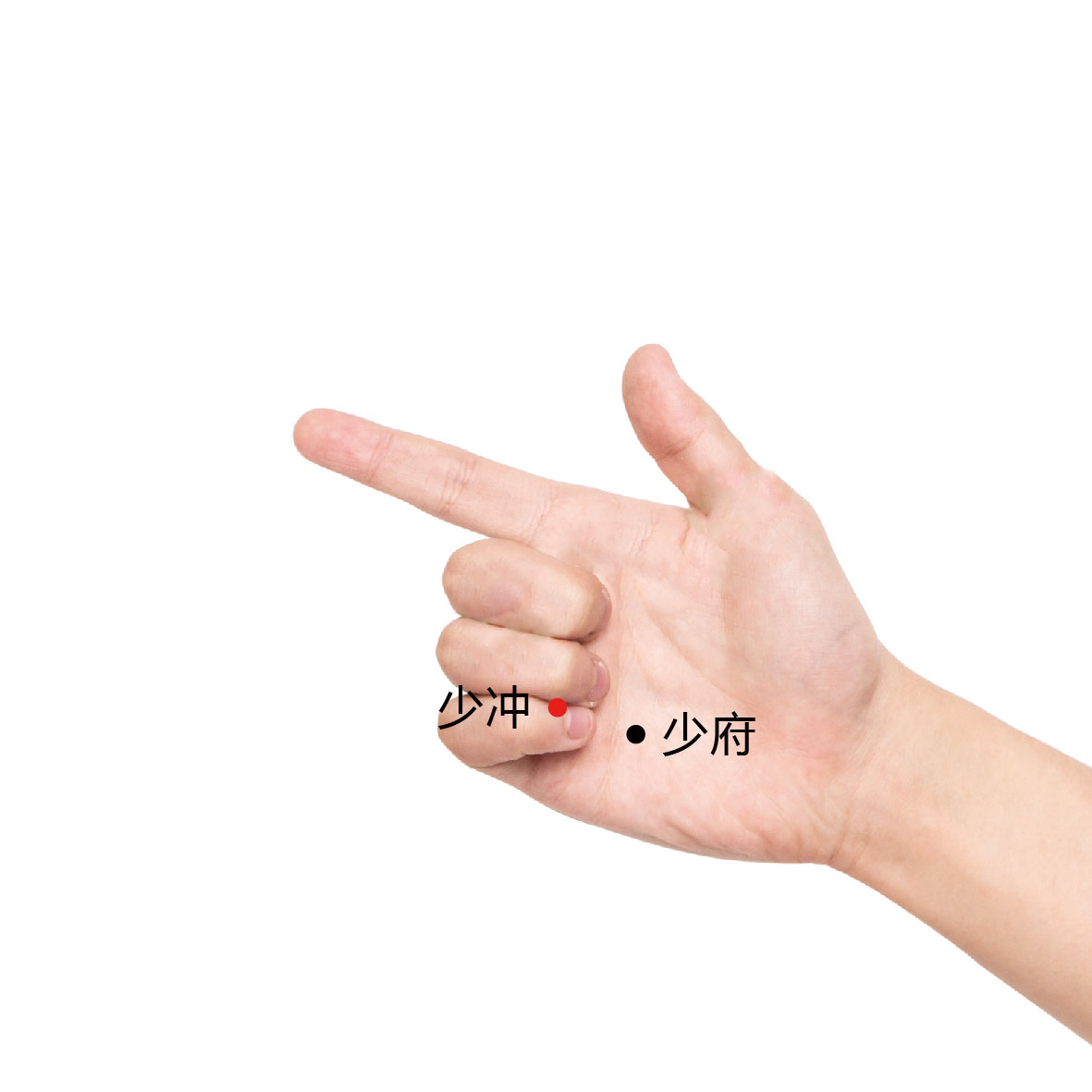 少冲