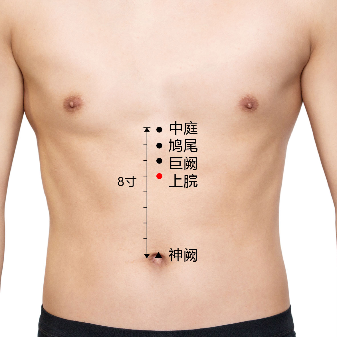 中庭