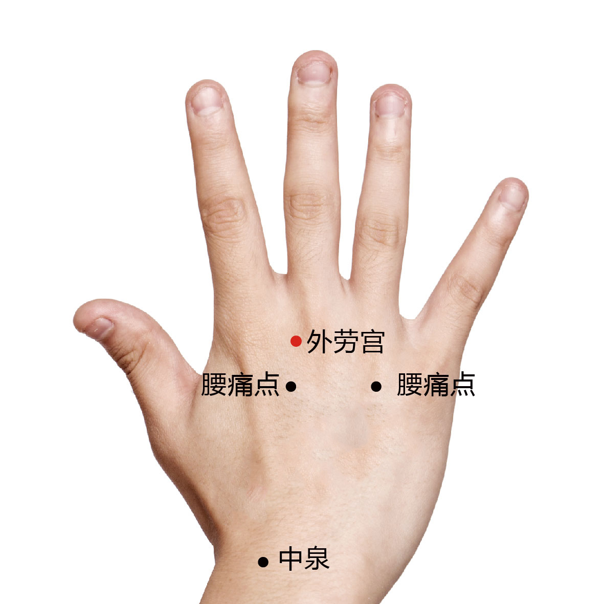 腰痛点