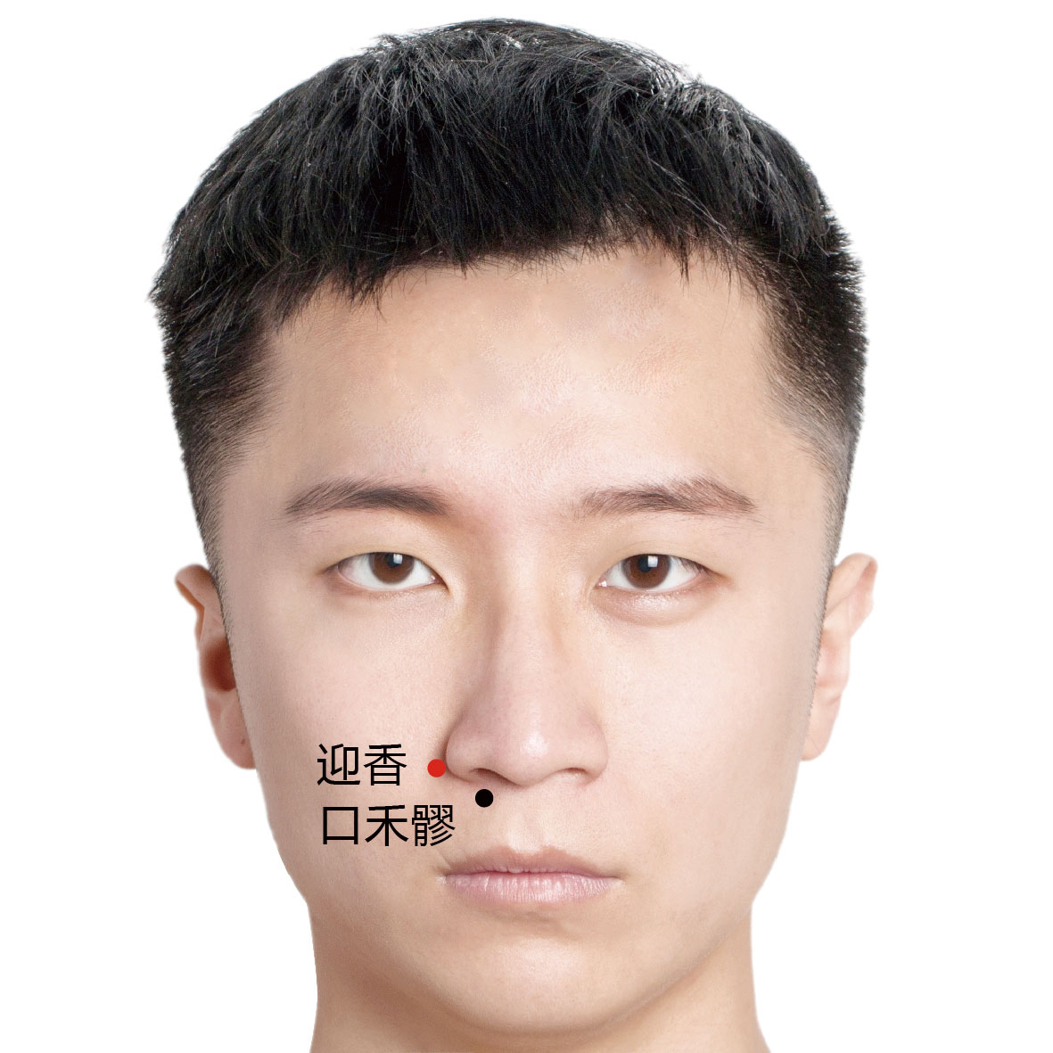 迎香