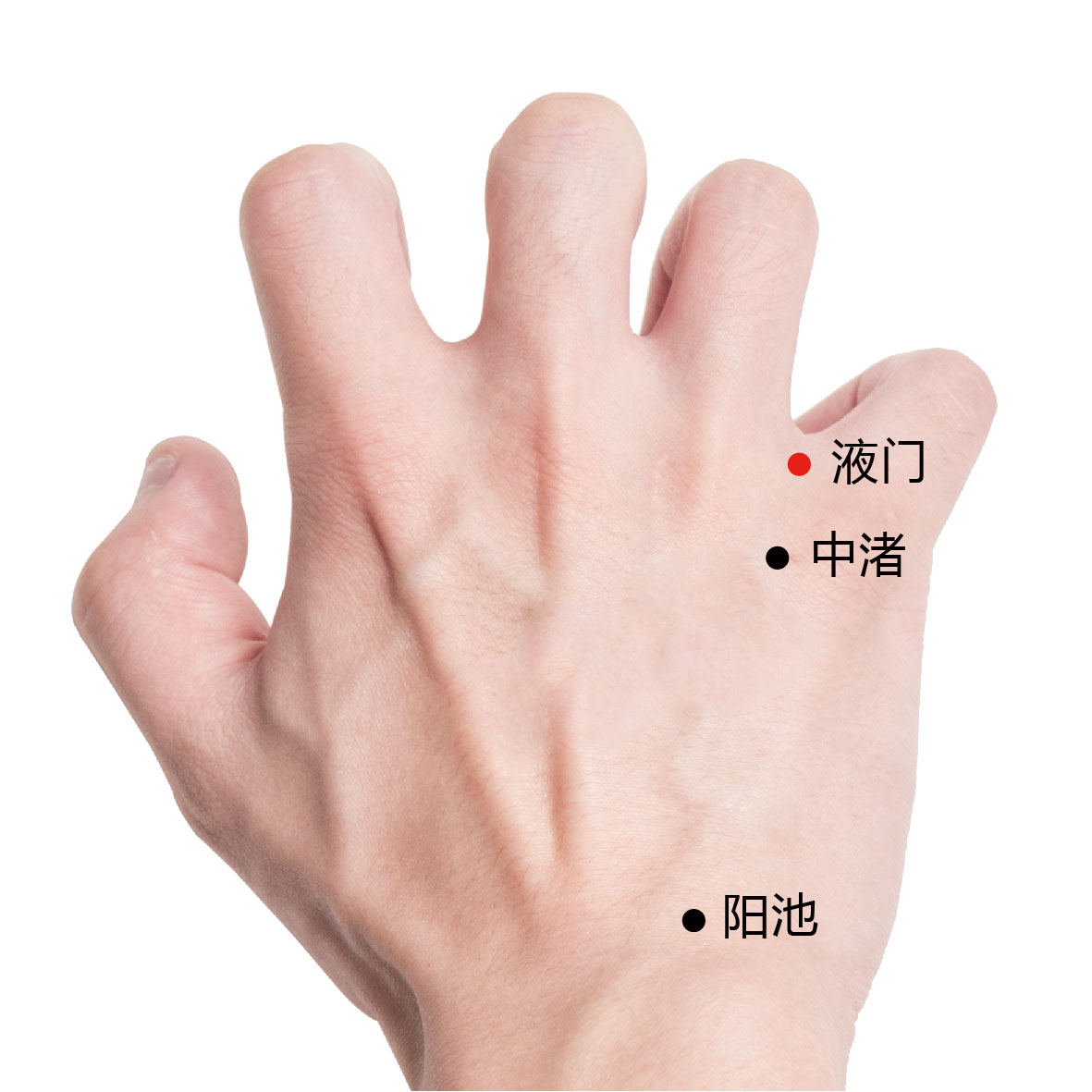 阳池