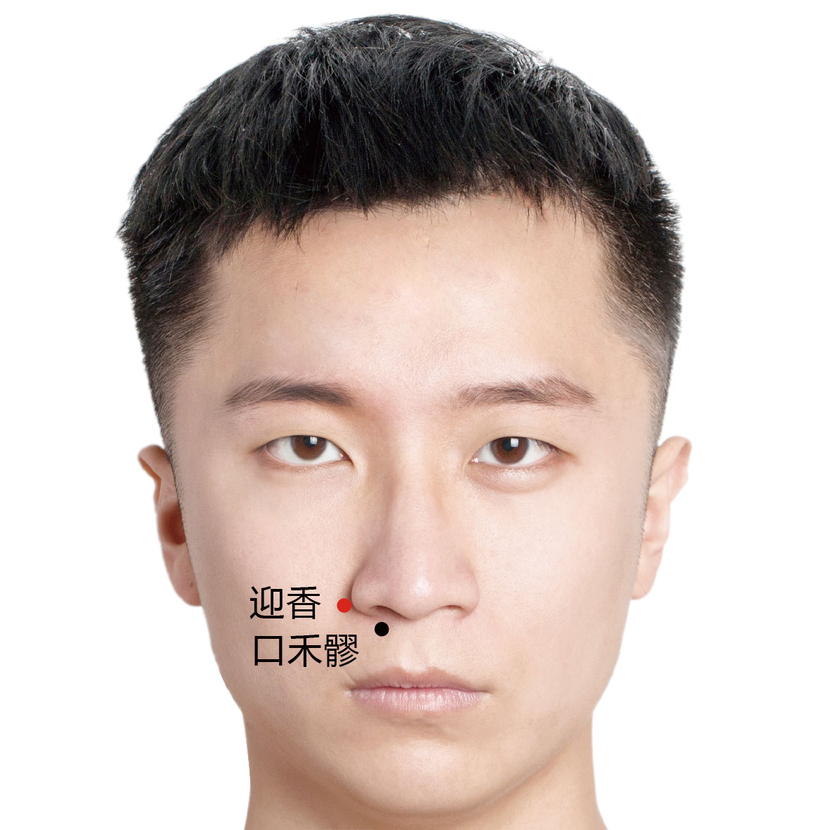 夹承浆