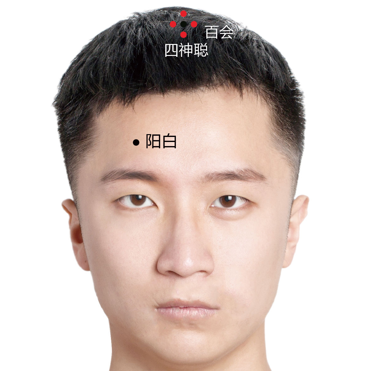 四神聪