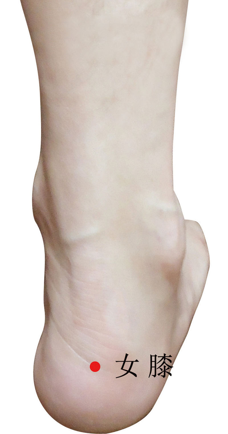 女膝