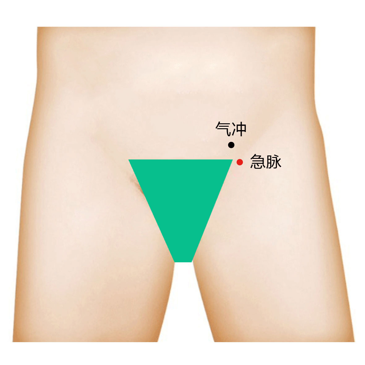 急脉