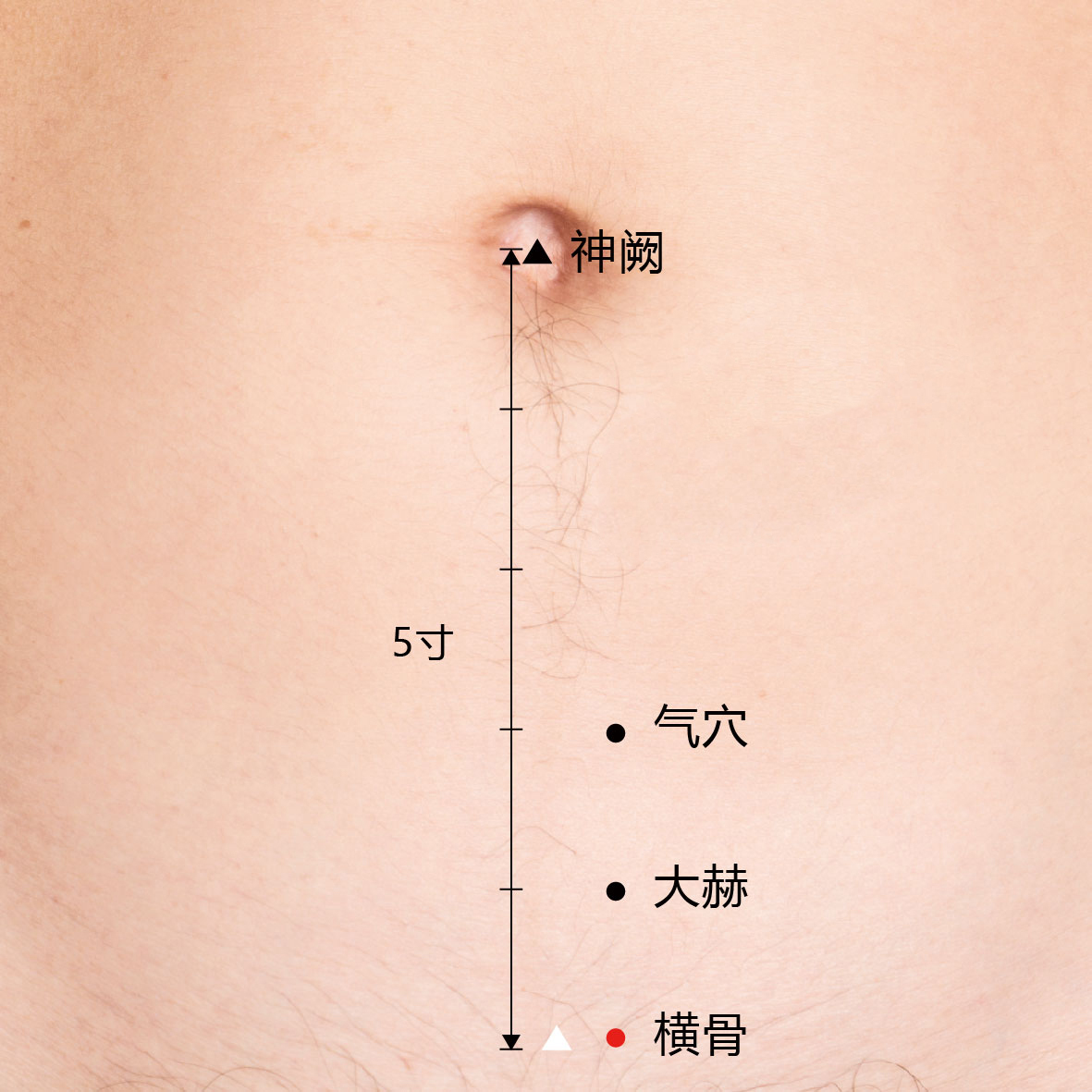 大赫