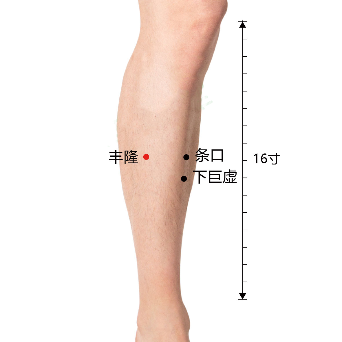 条口