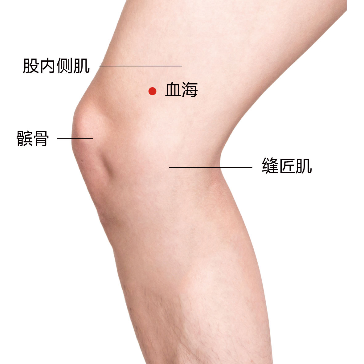 箕门
